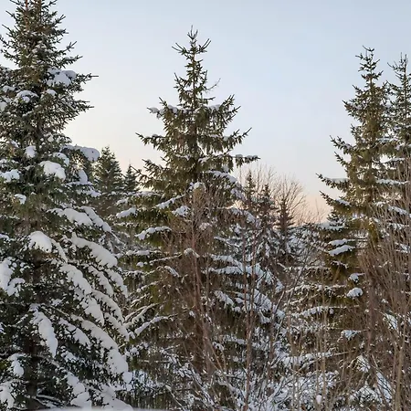 Signature Townhouse For Luxury Living Arctic Seasons *
