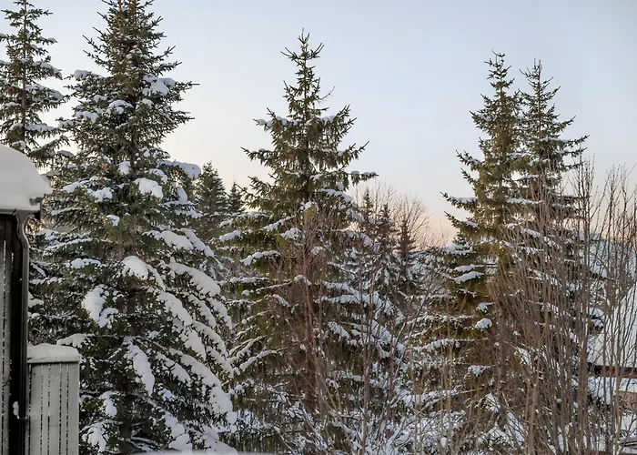 Signature Townhouse For Luxury Living Arctic Seasons *